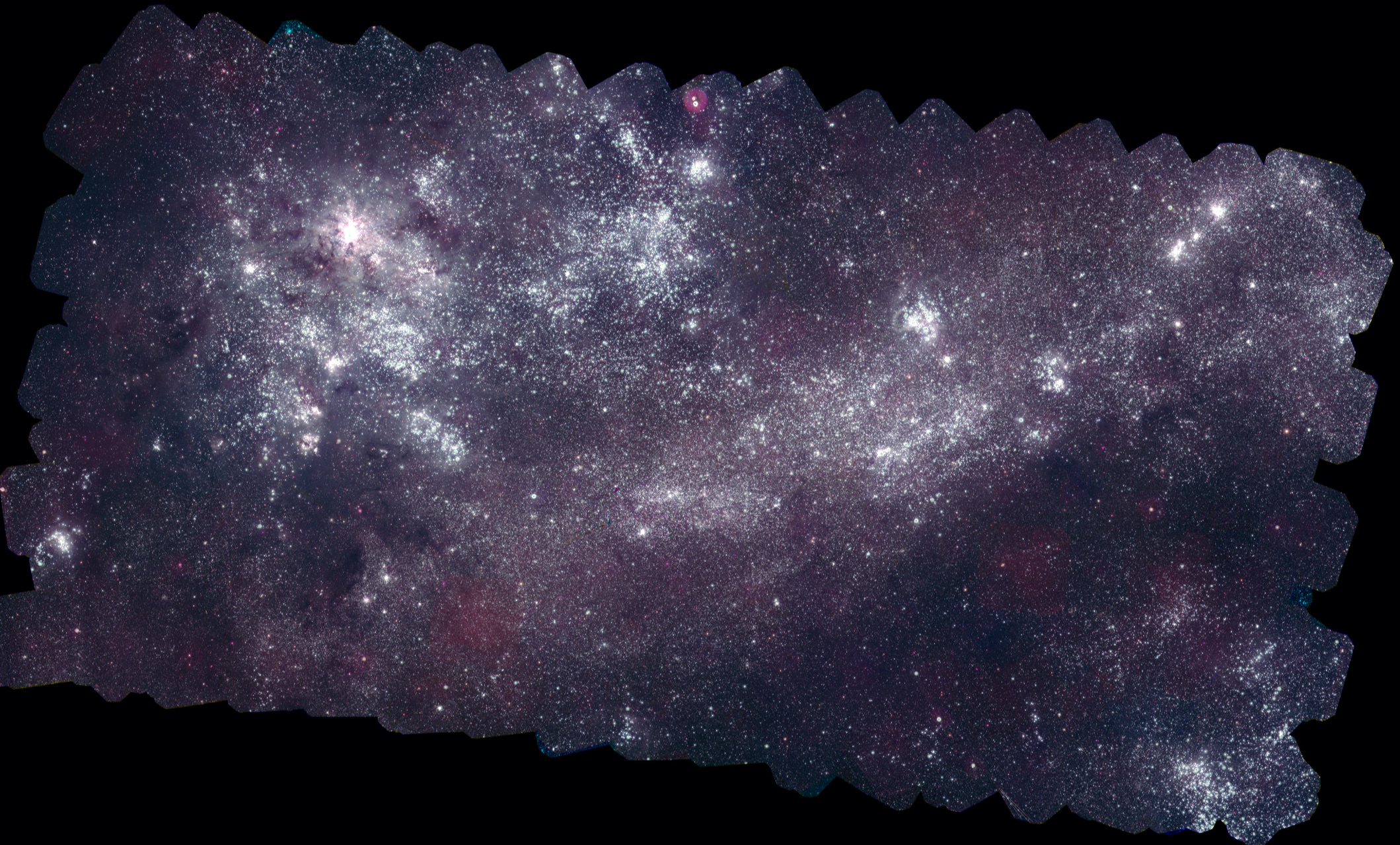 Le survey condotte dal telescopio Swift-Uvot della Nasa forniscono le panoramiche più dettagliate mai catturate nella luce ultravioletta della Grande e della Piccola Nube di Magellano, le due galassie più grandi più vicine alla nostra. I ricercatori hanno utilizzato questo set di dati ultravioletti per identificare i sistemi candidati che hanno preso in considerazione in questo lavoro. Crediti: Nasa/Swift/S. Immler (Goddard) and M. Siegel (Penn State)