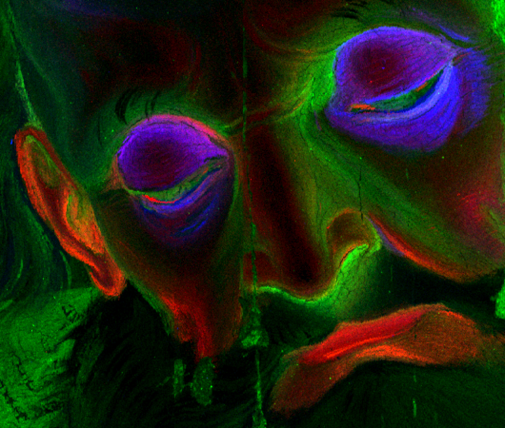 Composizione RGB della distribuzione del mercurio (rosso), blu (rame) e ferro (verde) ottenuta dalla scansione XRF di un dettaglio del volto del frammento rappresentante l’Eterno Padre.