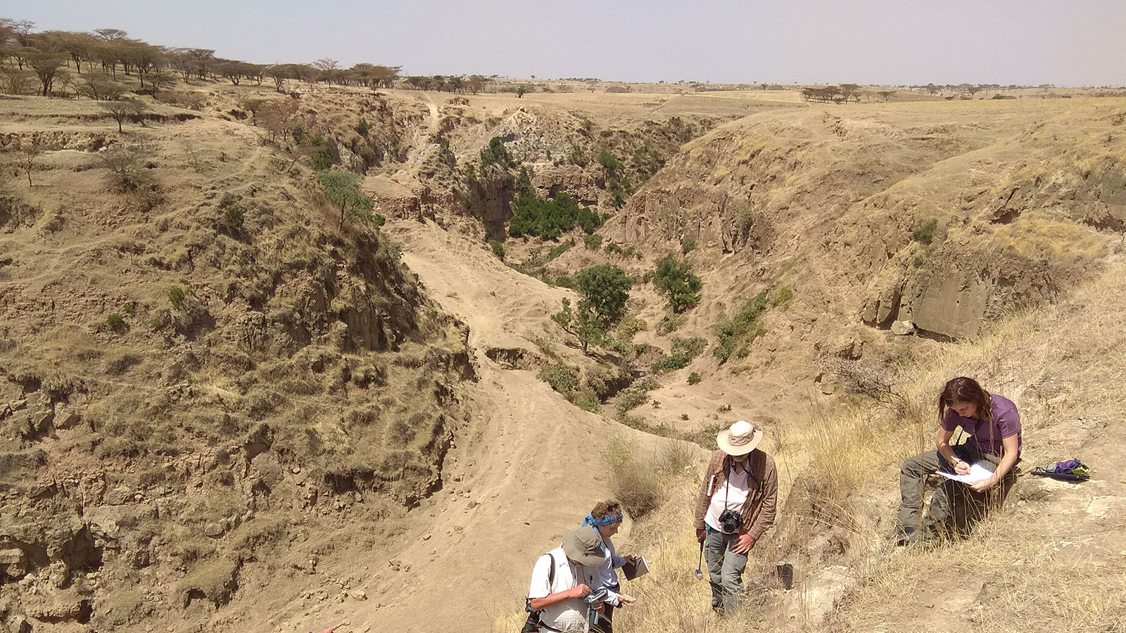 Analisi della stratigrafia vulcanica della Rift Valley ad Asela (Etiopica).