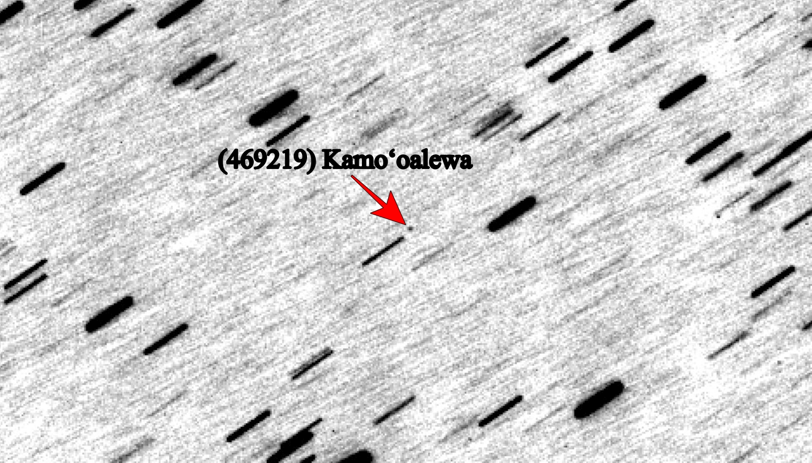 L'asteroide Kamoʻoalewa ripreso il 7 marzo 2024 dalla Stazione Astronomica di Loiano dell'Inaf-Oas. Crediti: A. Carbognani/Inaf.