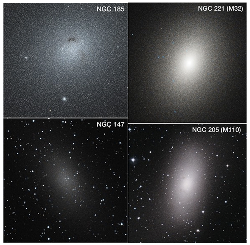 Ritratti di quattro delle trentasei galassie nane ottenuti con il telescopio spaziale Hubble. Crediti: Nasa, Esa, Alessandro Savino (Uc Berkeley), Joseph DePasquale (Stsci), Akira Fujii Dss2